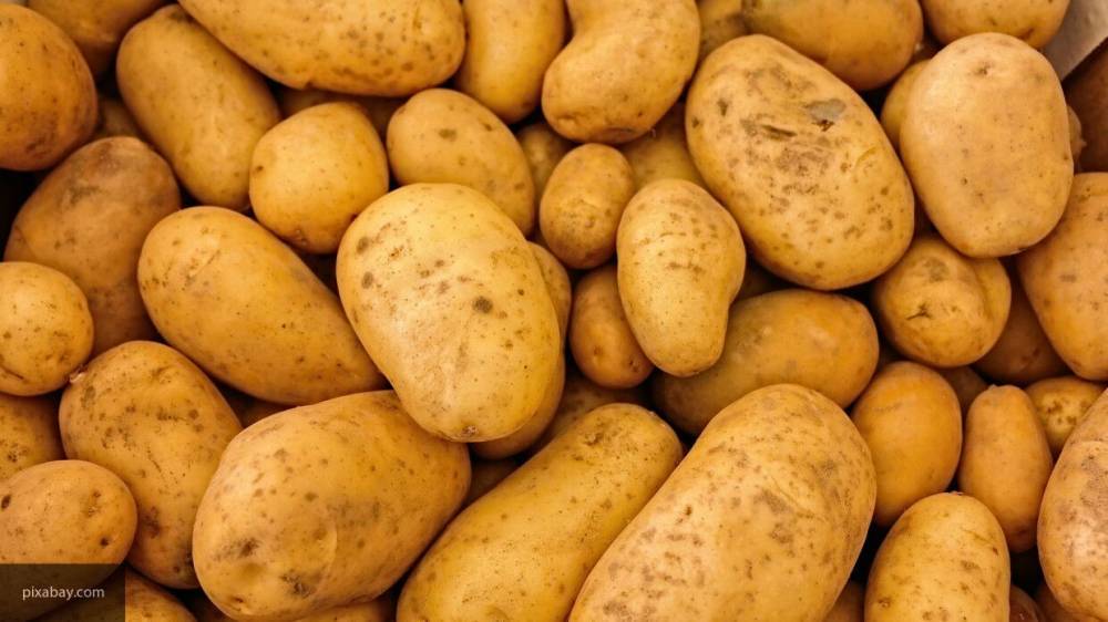 Российский диетолог Денисова рассказала об опасности старого картофеля