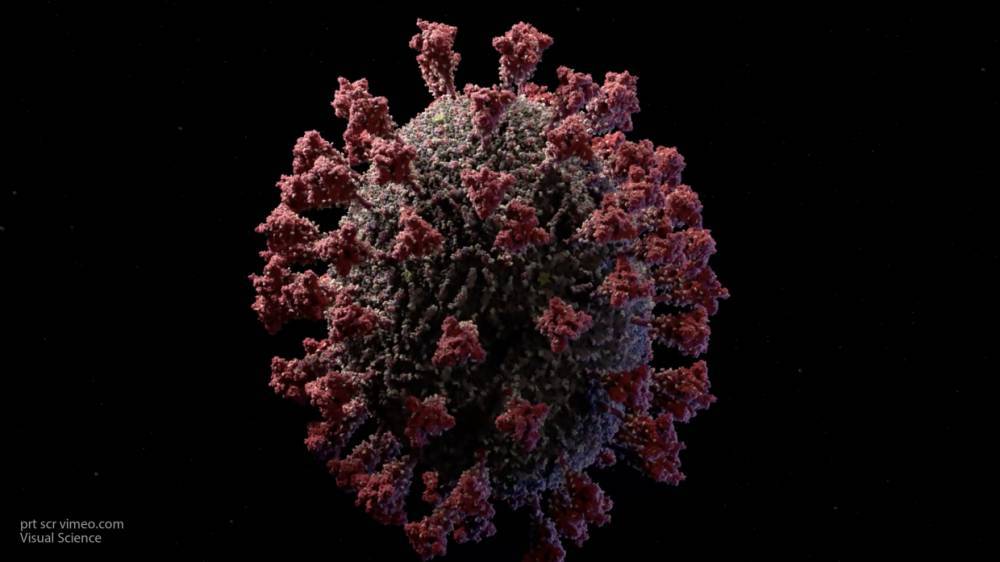 Названы основные способы попадания коронавируса в организм человека