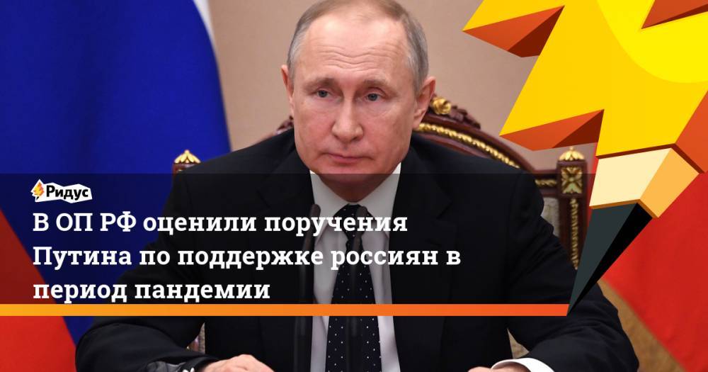 В ОП РФ оценили поручения Путина по поддержке россиян в период пандемии