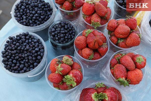 Ученые обещают хороший урожай ягод в Коми