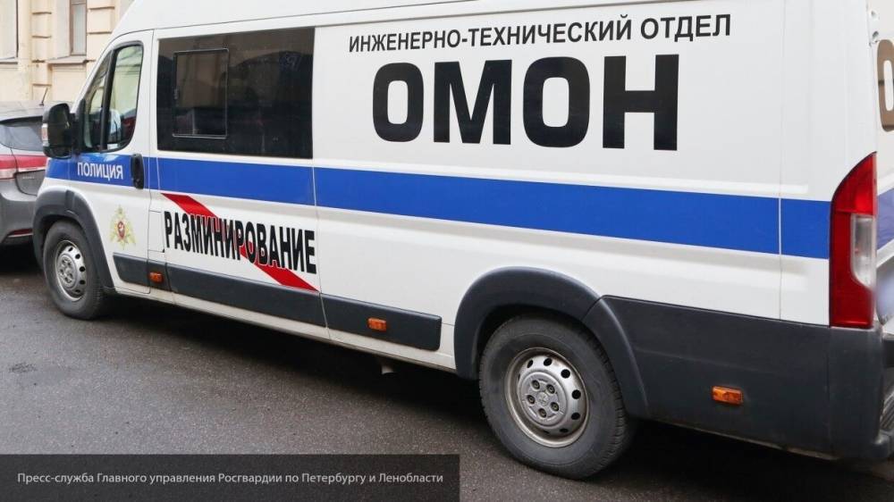 Московская полиция проверяет сообщения о "минировании" аэропорта и метро столицы