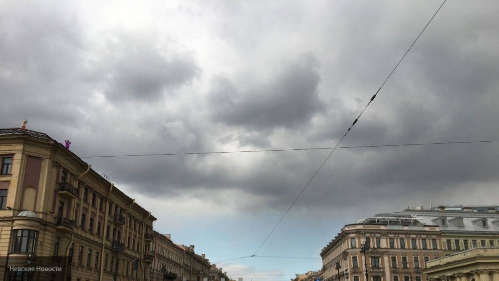 МЧС предупредило петербуржцев об усилении ветра в ближайшие часы