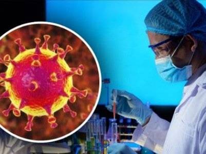 Американские ученые обнаружили антитело на 100 процентов блокирующее коронавирус