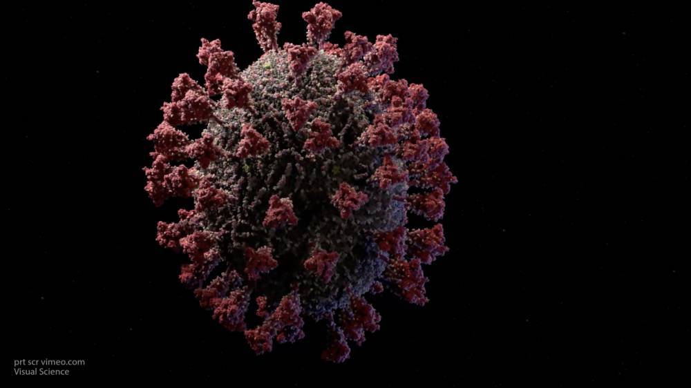 Американские ученые нашли антитело, способное полностью защитить клетки от коронавируса