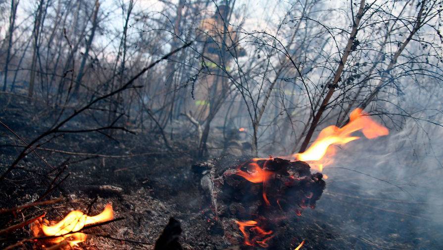 В Забайкалье горит 2,5 тысячи гектаров леса