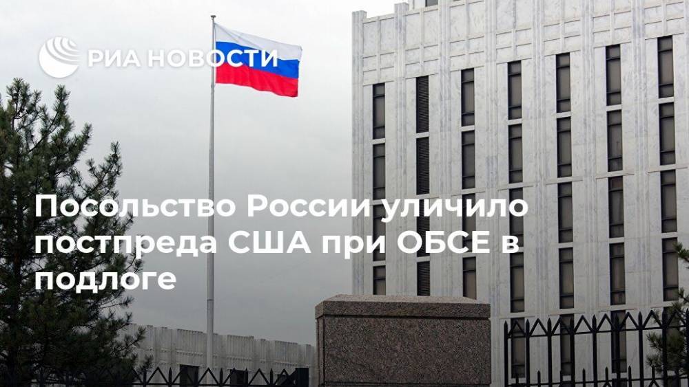Посольство России уличило постпреда США при ОБСЕ в подлоге