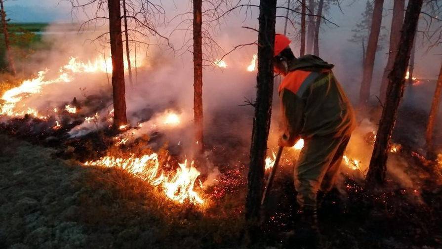 В Забайкалье потушили пожары на площади более 11 тысяч гектар