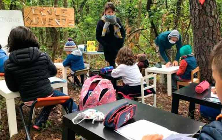 Школьные уроки в лесу из-за коронавируса