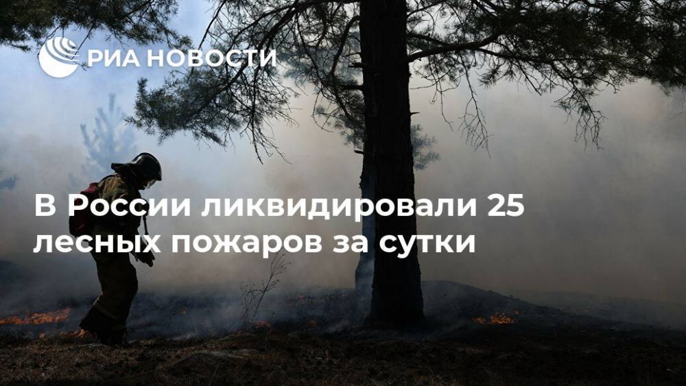 В России ликвидировали 25 лесных пожаров за сутки
