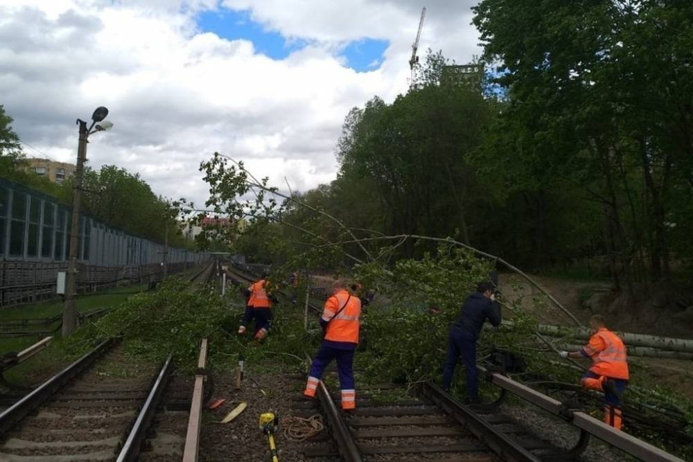 Упавшее дерево прервало движение на Филевской линии метро Москвы
