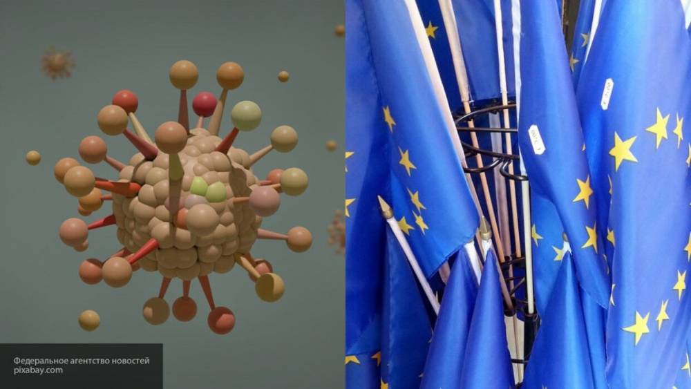 Швейцер сообщил о нелепости нападок Европы на РФ из-за коронавируса