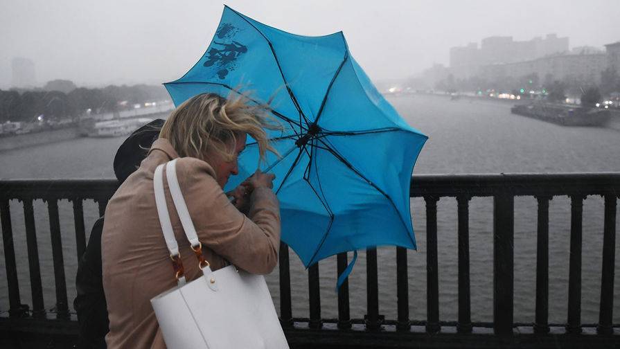 В Москве объявлен «желтый» уровень погодной опасности из-за ветра