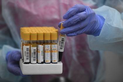 В Приморье за сутки выявили 71 новый случай заражения коронавирусом