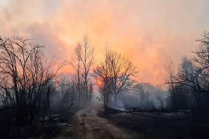 Названы российские регионы с высокими рисками природных пожаров