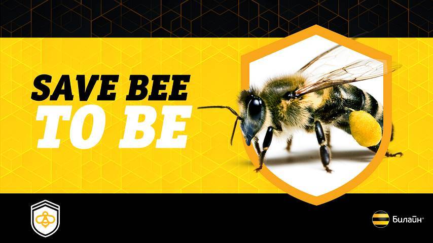 Общее дело: Билайн запускает информационную платформу, призванную сократить массовую гибель пчёл в России