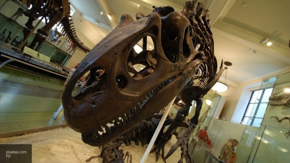 Ученые выяснили, что скорость бега динозавров зависела от их размеров
