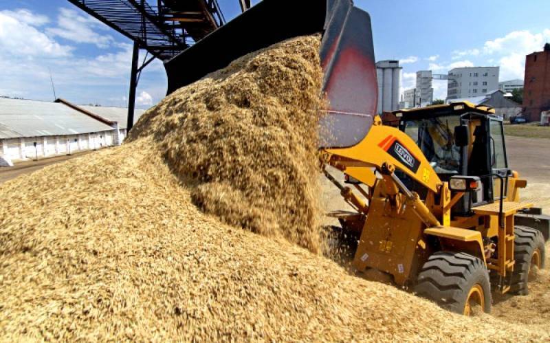 На грани кризиса: саудиты закупают подпорченную российскую пшеницу