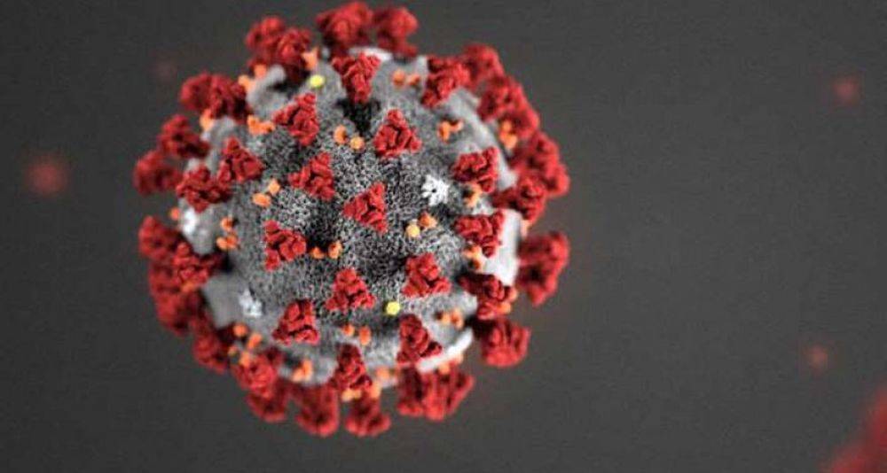 Мир хочет получить ответы о причинах пандемии коронавируса