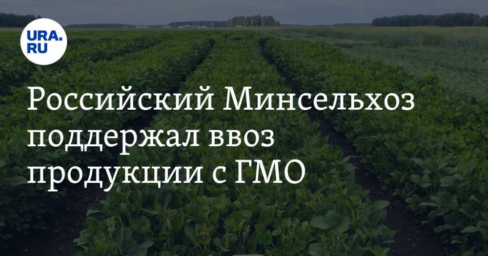 Российский Минсельхоз поддержал ввоз продукции с ГМО
