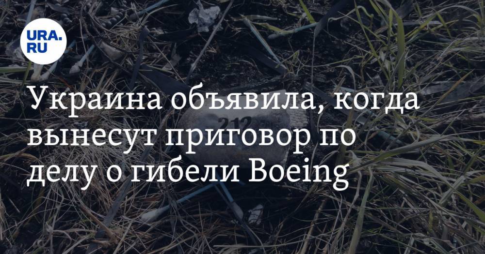 Украина объявила, когда вынесут приговор по делу о гибели Boeing