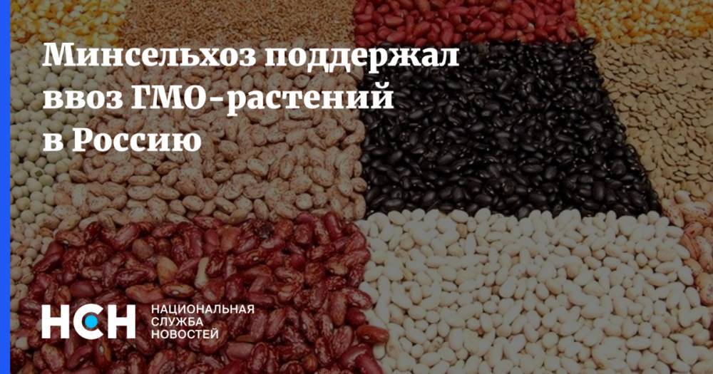 Минсельхоз поддержал ввоз ГМО-растений в Россию