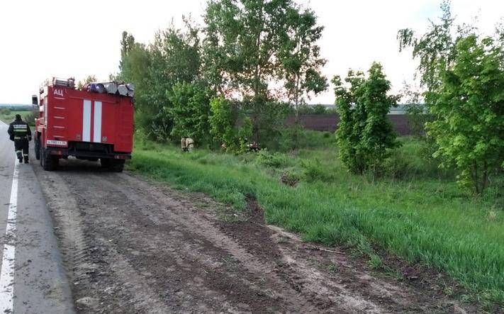 В Воронежской области «Фольксваген» вылетел в кювет — пострадали трое детей