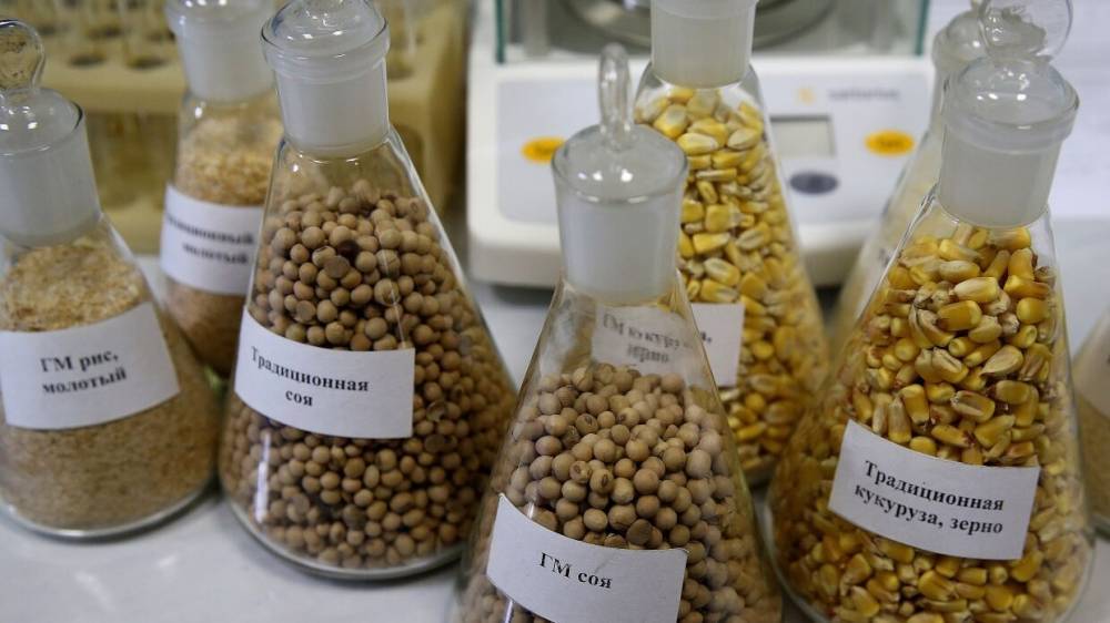 Минсельхоз выступил против запрета на ввоз продукции с ГМО в Россию