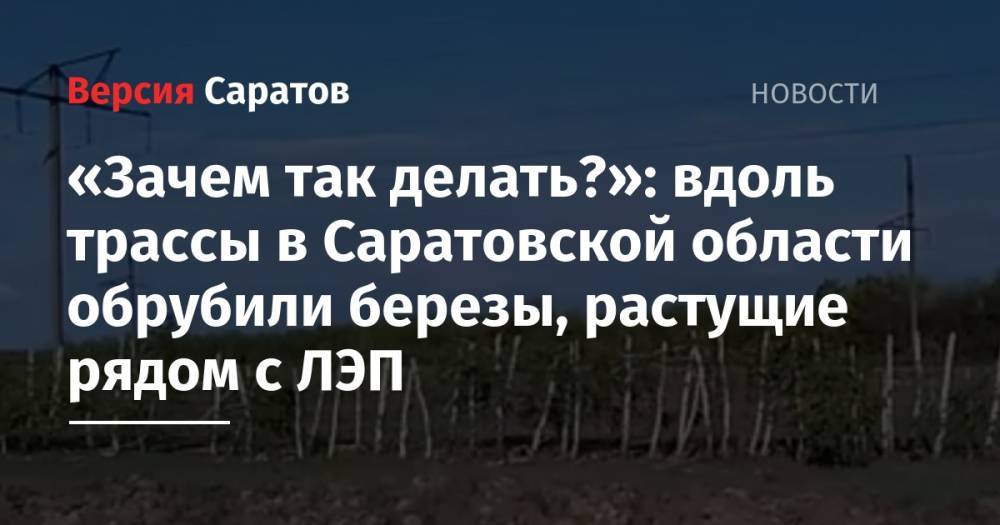 «Зачем так делать?»: вдоль трассы в Саратовской области обрубили березы, растущие рядом с ЛЭП