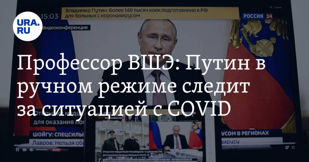 Профессор ВШЭ: Путин в ручном режиме следит за ситуацией с COVID