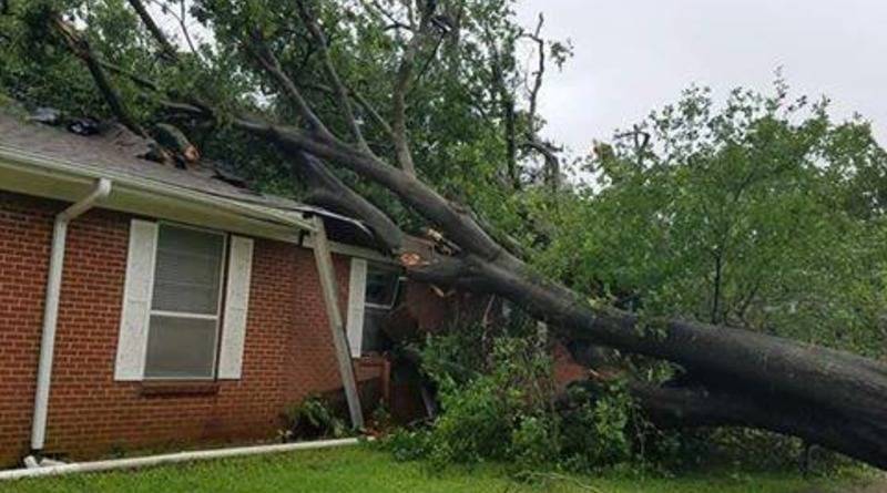 В Техасе – торнадо и водяной смерч: стихия вырвала с корнем деревья и разрушила здания