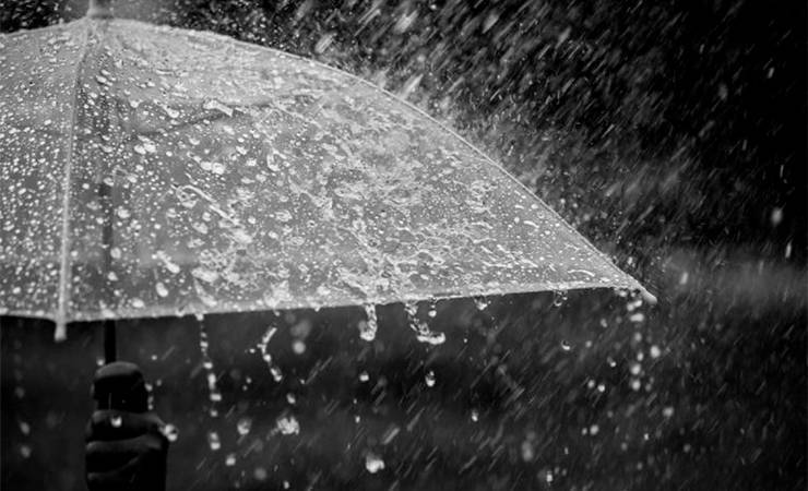 Погода в Гомеле на завтра: прохладно и возможен дождь