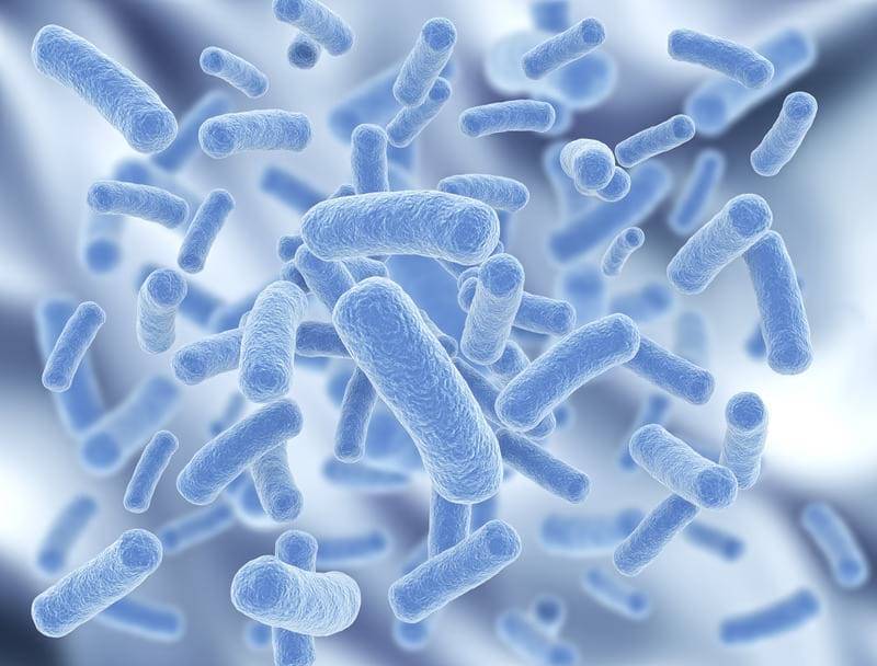 Ученые бьют тревогу: появилась опасная супербактерия - Cursorinfo: главные новости Израиля