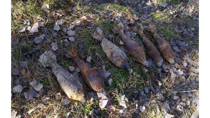 Рядом с газопроводом во Всеволожском районе обнаружено 166 мин времен ВОВ