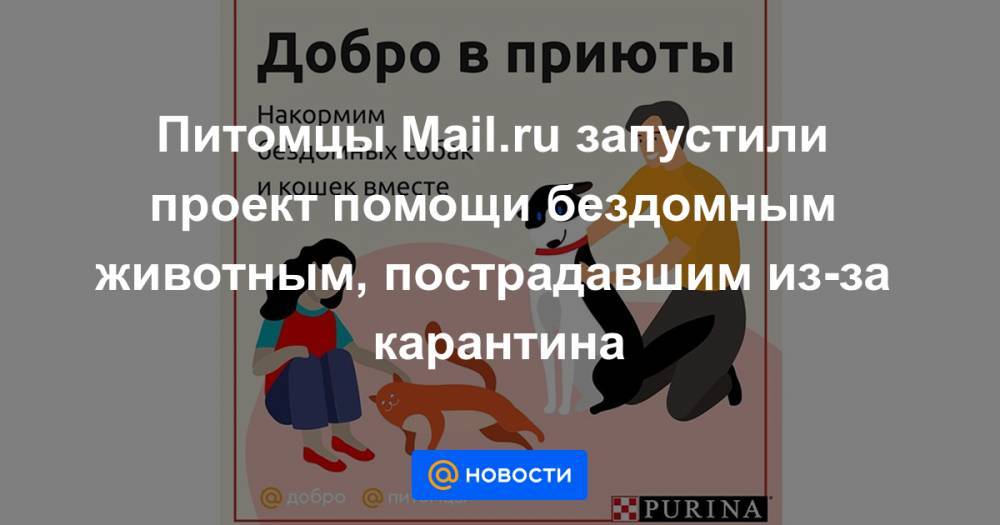 Питомцы Mail.ru запустили проект помощи бездомным животным, пострадавшим из-за карантина