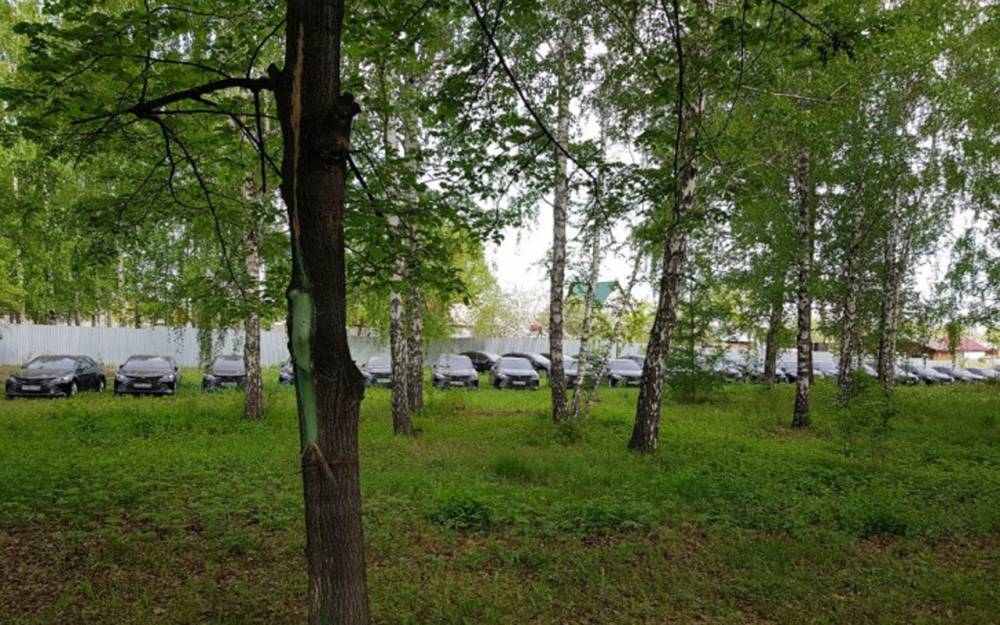 50 новых государственных Toyota Camry спрятали в лесу. На них никто не ездит