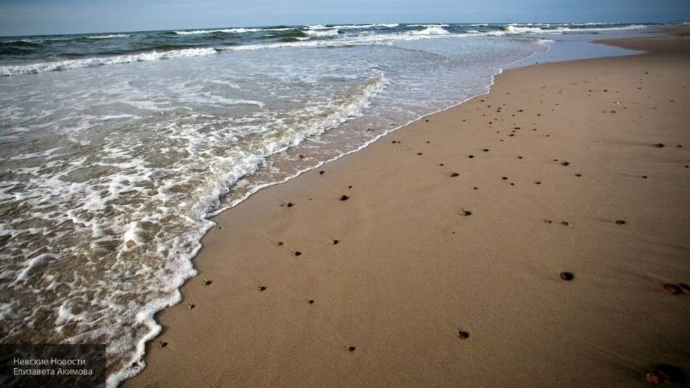 Знаменитого рестлера Гаспарда унесло волной на пляже в США
