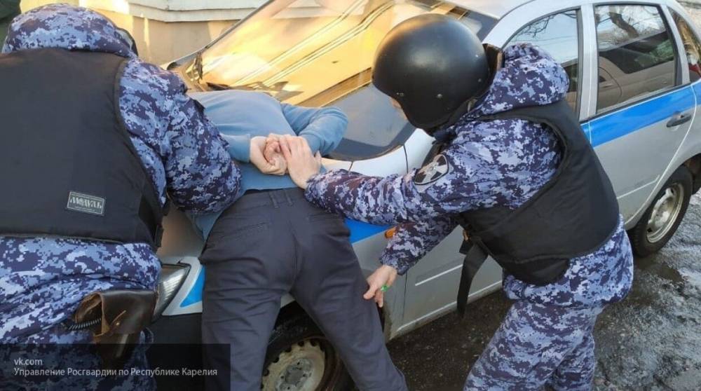 СМИ сообщили о задержании актера Михайленко из сериала "Полицейский с Рублевки"