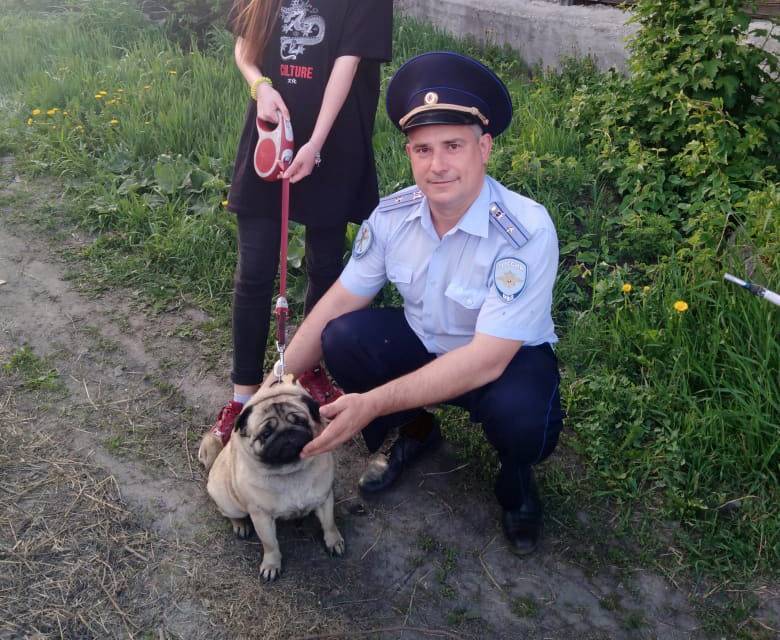 В Кузбассе полицейские вернули домой мопса Мишу