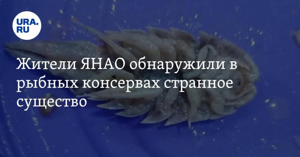 Жители ЯНАО обнаружили в рыбных консервах странное существо. ФОТО, ВИДЕО