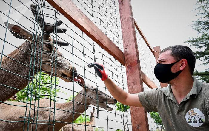 Конец карантину: тбилисский зоопарк открыт для посетителей