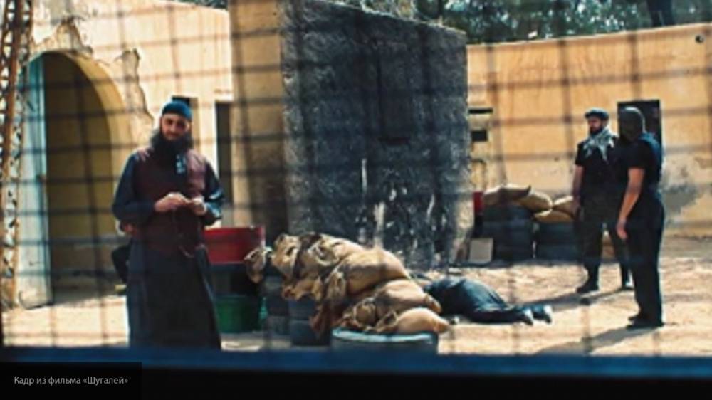 Журналисты из Ирана увидели в "Шугалее" схожие черты с фильмом Майкла Бэя