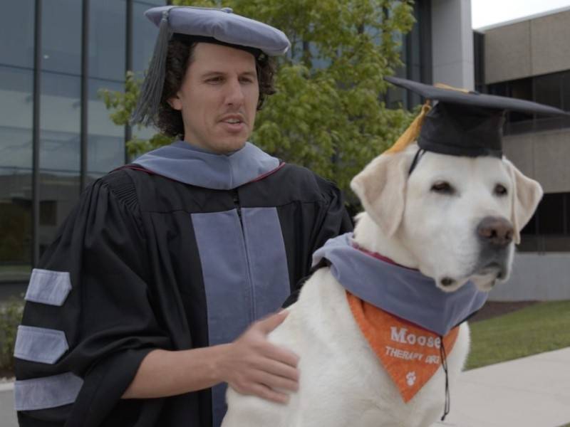 В США пёс получил докторскую степень по ветеринарной медицине