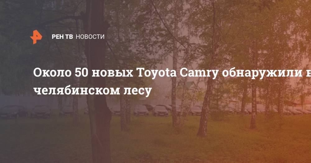 Около 50 новых Toyota Camry обнаружили в челябинском лесу