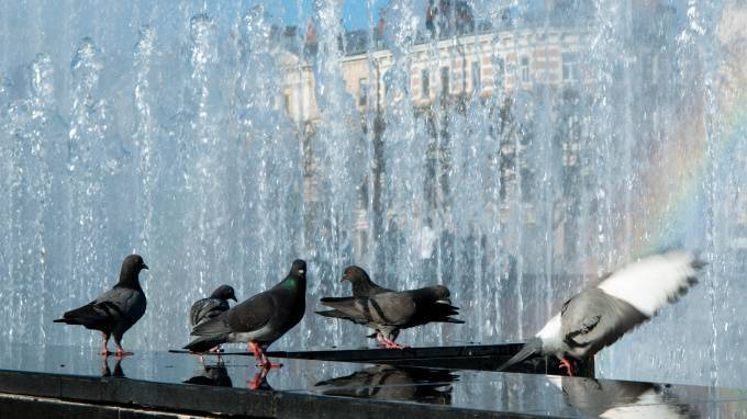 В Петербурге дали названия трем безымянным фонтанам