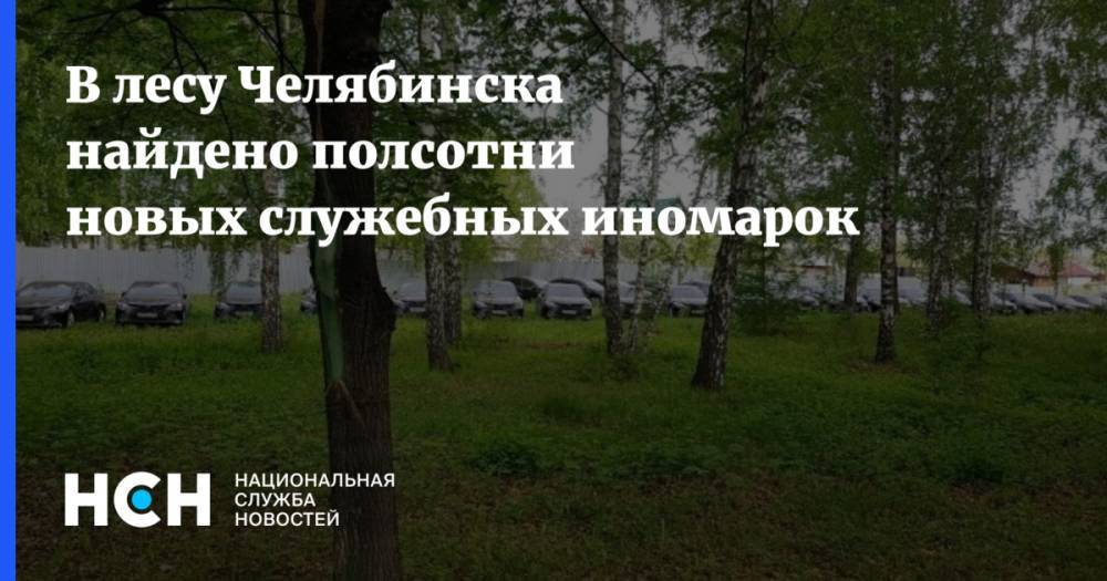 В лесу Челябинска найдено полсотни новых служебных иномарок