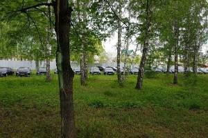 Челябинские власти объяснили парковку в лесу 50 правительственных иномарок