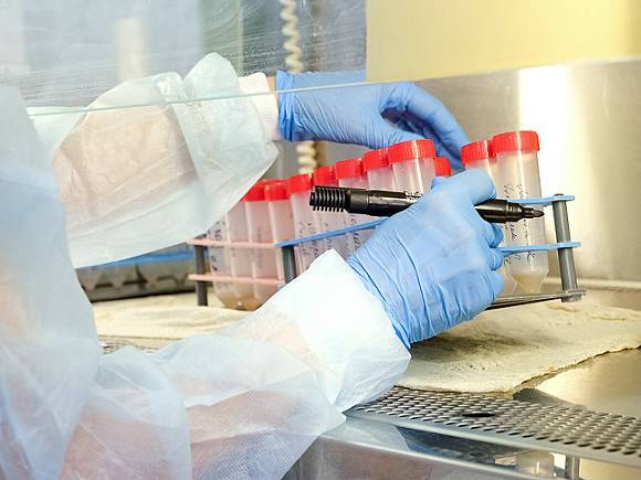 Китай не допустил ВОЗ к расследованию о происхождении коронавируса