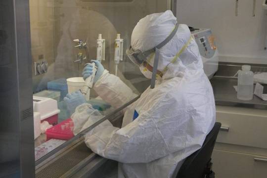 Учёные из Сингапура обновили прогноз по срокам окончания вспышки коронавируса в РФ