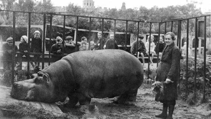 В Ленинградском зоопарке подготовили лекции к 9 Мая