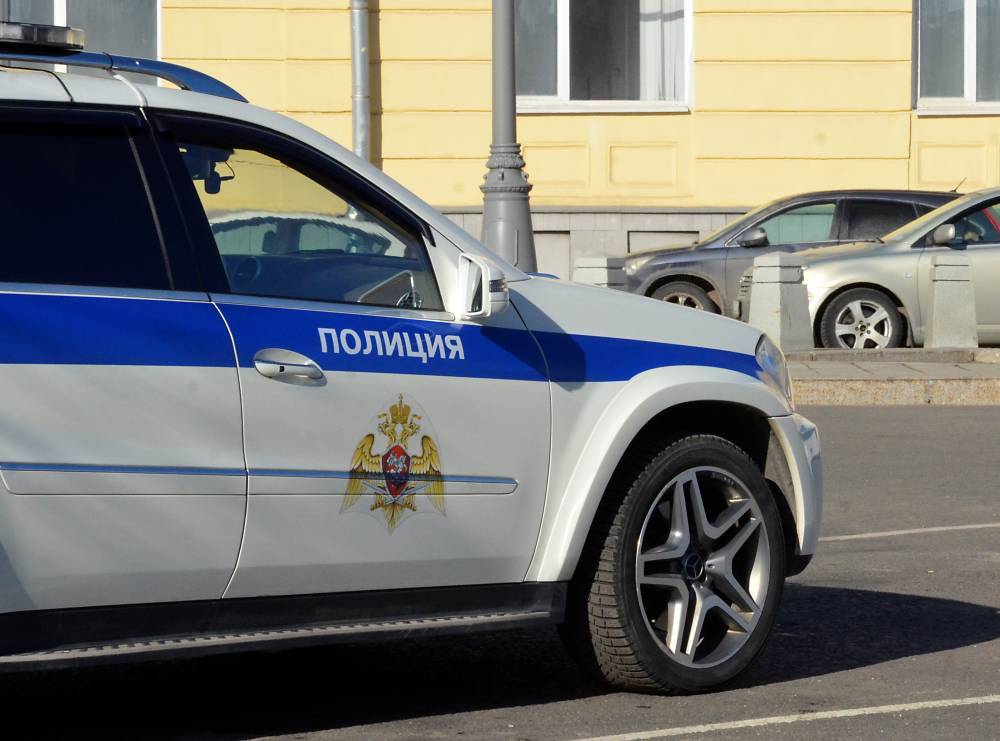 При проверке документов москвич применил насилие в отношении полицейского
